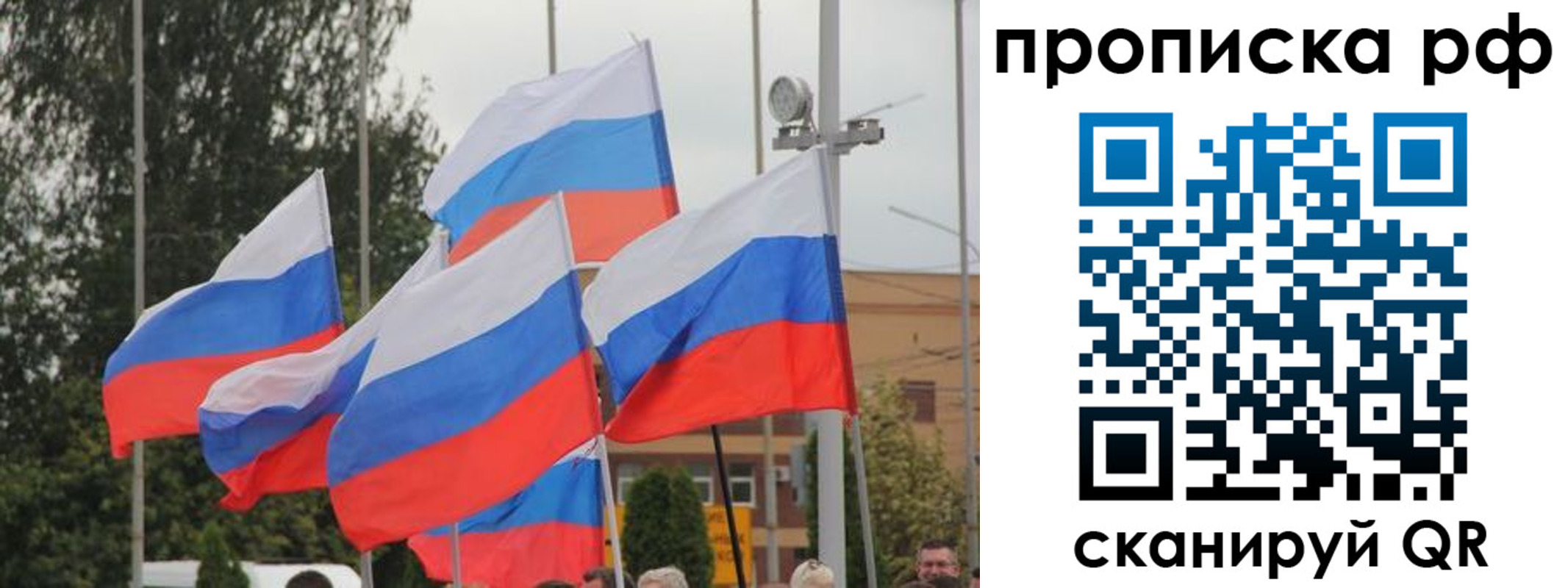 прописка законно в Вязьме
